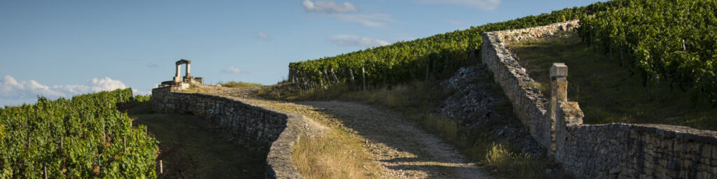 Paysage de la Cote de Nuits :  vue sur le Clos des Lambrays, Grand cru de la commune de Morey-Saint-Denis.